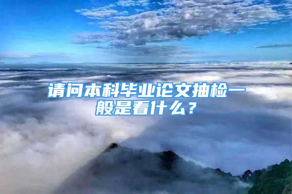 請問本科畢業(yè)論文抽檢一般是看什么？