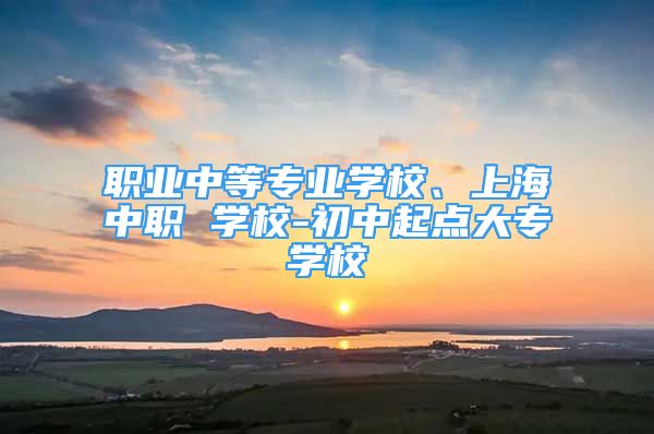 職業(yè)中等專業(yè)學(xué)校、上海中職 學(xué)校-初中起點大專學(xué)校