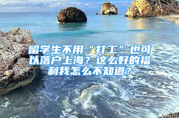 留學生不用“打工”也可以落戶上海？這么好的福利我怎么不知道？