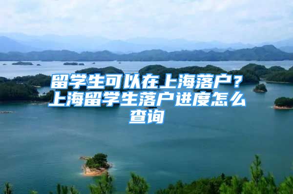 留學(xué)生可以在上海落戶？上海留學(xué)生落戶進(jìn)度怎么查詢