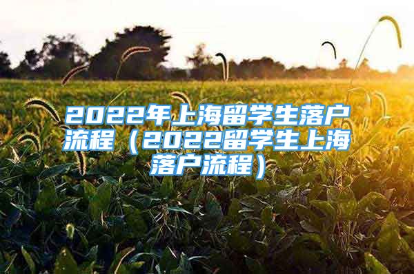 2022年上海留學(xué)生落戶流程（2022留學(xué)生上海落戶流程）