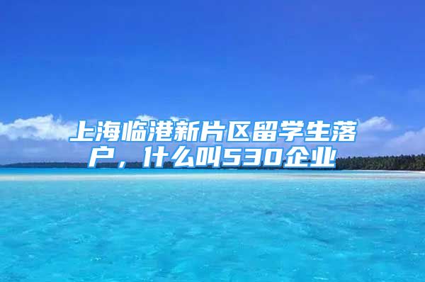 上海臨港新片區(qū)留學(xué)生落戶，什么叫530企業(yè)