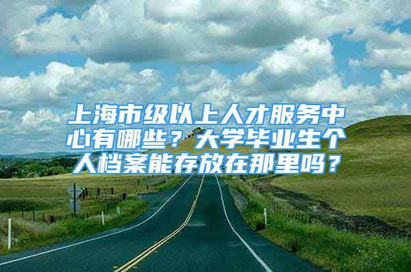 上海市級(jí)以上人才服務(wù)中心有哪些？大學(xué)畢業(yè)生個(gè)人檔案能存放在那里嗎？