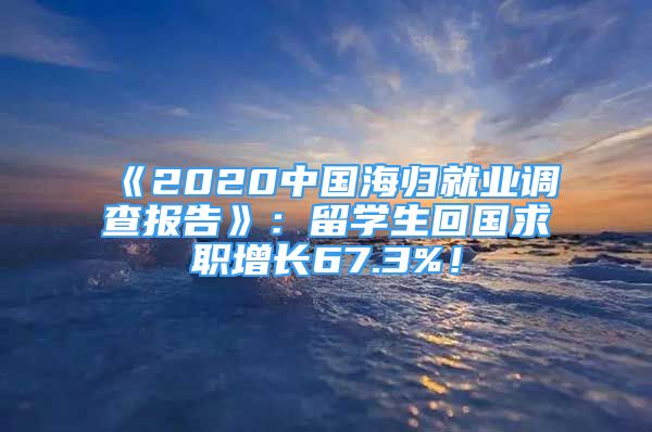 《2020中國海歸就業(yè)調查報告》：留學生回國求職增長67.3%！