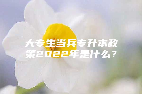 大專生當兵專升本政策2022年是什么？