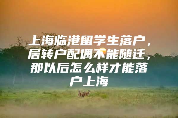 上海臨港留學(xué)生落戶，居轉(zhuǎn)戶配偶不能隨遷，那以后怎么樣才能落戶上海