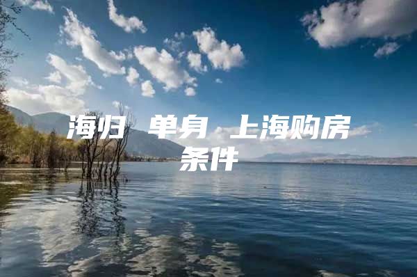 海歸 單身 上海購房條件