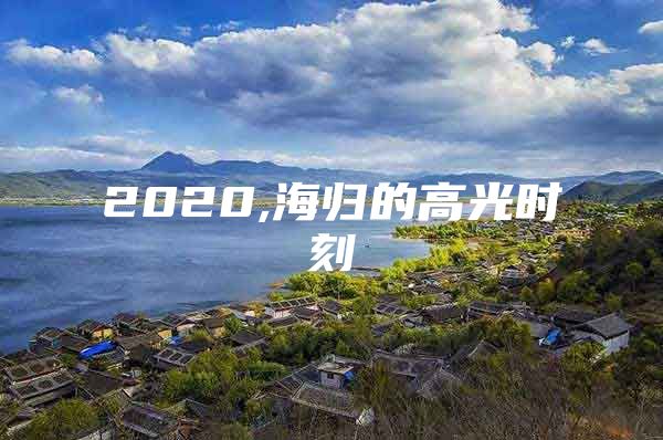 2020,海歸的高光時(shí)刻