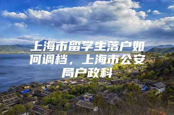 上海市留學(xué)生落戶如何調(diào)檔，上海市公安局戶政科