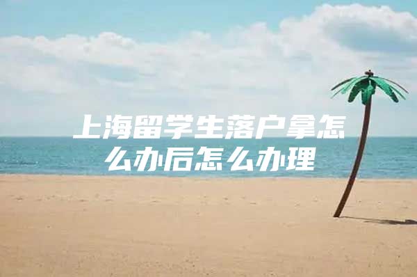 上海留學(xué)生落戶拿怎么辦后怎么辦理