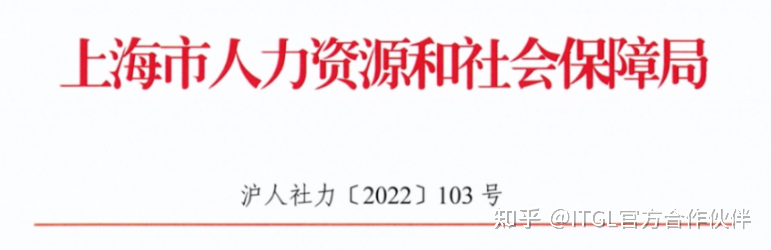 上海出臺(tái)人才新政，世界TOP50名校留學(xué)生無需社保直接落戶