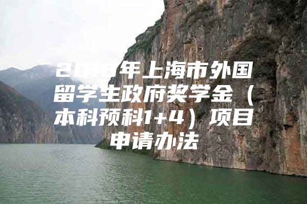 2018年上海市外國留學生政府獎學金（本科預科1+4）項目申請辦法