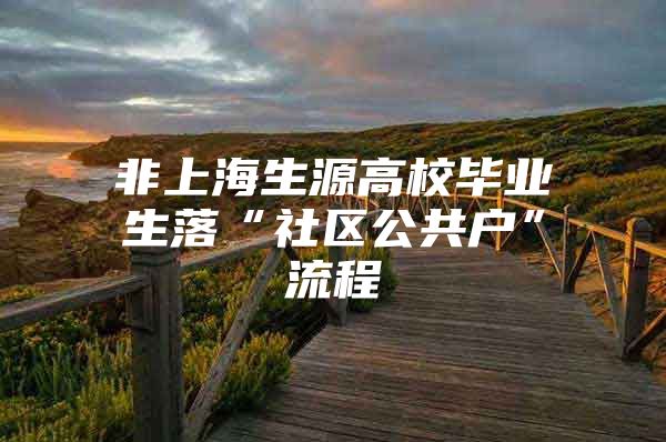 非上海生源高校畢業(yè)生落“社區(qū)公共戶”流程