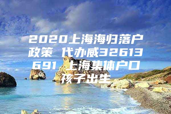 2020上海海歸落戶政策 代辦威32613691 上海集體戶口孩子出生