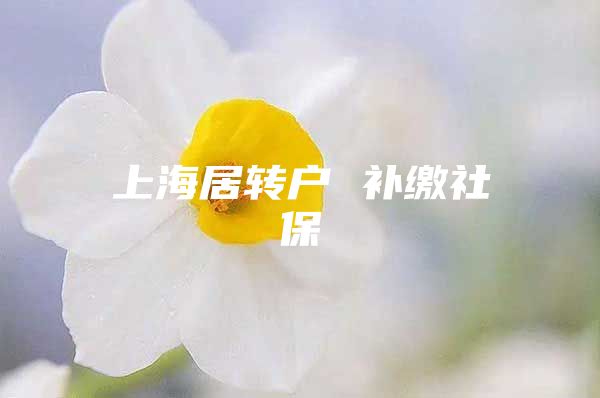 上海居轉(zhuǎn)戶 補(bǔ)繳社保