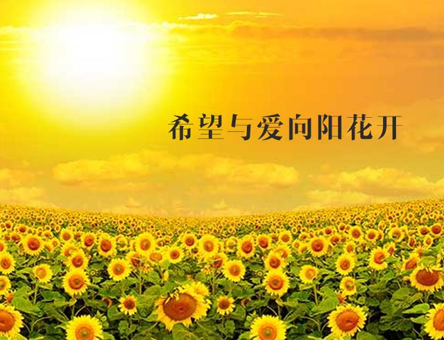 2022年居轉(zhuǎn)戶上海落戶最新材料大全和四點細節(jié)幫你順利落戶上海