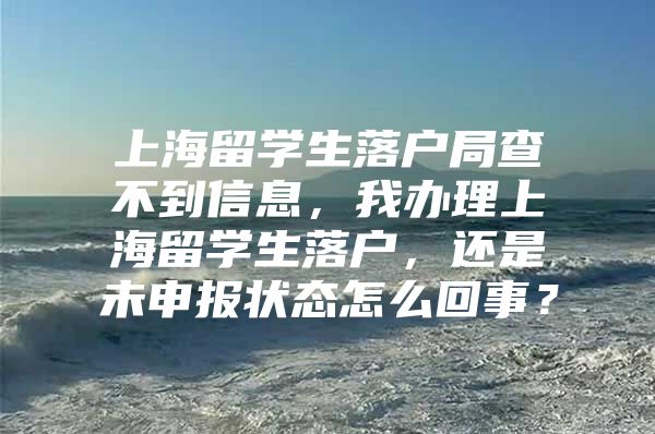 上海留學(xué)生落戶局查不到信息，我辦理上海留學(xué)生落戶，還是未申報(bào)狀態(tài)怎么回事？