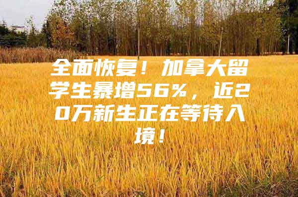 全面恢復(fù)！加拿大留學(xué)生暴增56%，近20萬(wàn)新生正在等待入境！