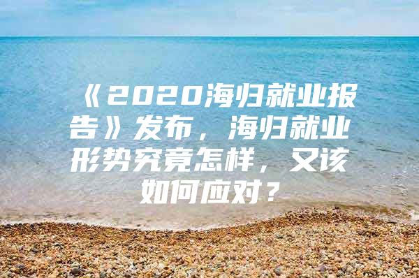 《2020海歸就業(yè)報告》發(fā)布，海歸就業(yè)形勢究竟怎樣，又該如何應對？