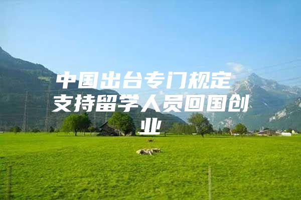 中國出臺專門規(guī)定 支持留學人員回國創(chuàng)業(yè)