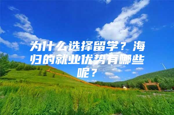 為什么選擇留學(xué)？海歸的就業(yè)優(yōu)勢有哪些呢？