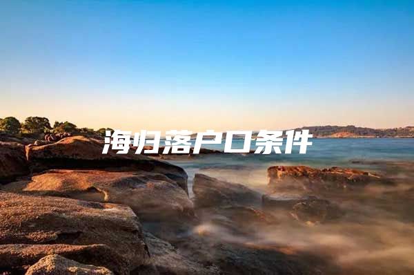 海歸落戶口條件