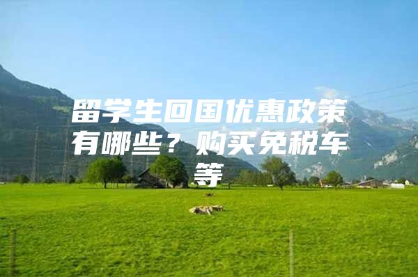 留學(xué)生回國優(yōu)惠政策有哪些？購買免稅車等