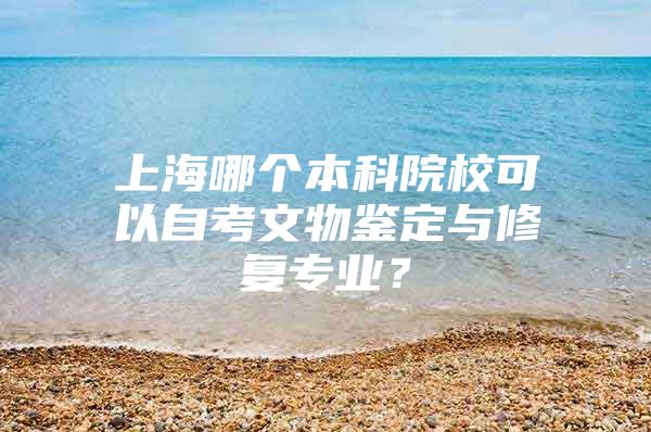 上海哪個(gè)本科院?？梢宰钥嘉奈镨b定與修復(fù)專業(yè)？