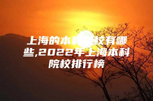 上海的本科學校有哪些,2022年上海本科院校排行榜