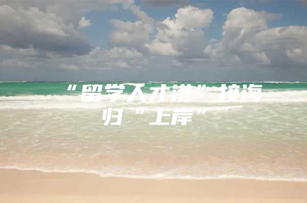 “留學(xué)人才港”接海歸“上岸”