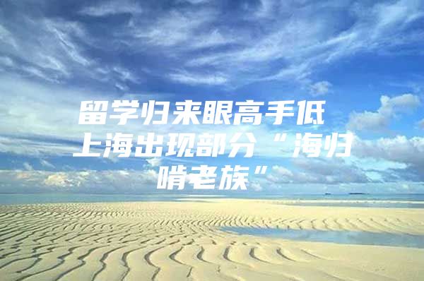 留學(xué)歸來眼高手低 上海出現(xiàn)部分“海歸啃老族”