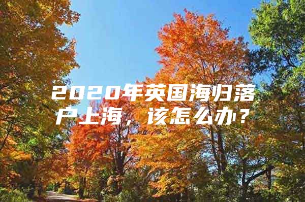 2020年英國海歸落戶上海，該怎么辦？