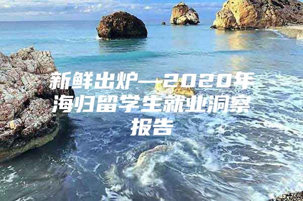 新鮮出爐—2020年海歸留學(xué)生就業(yè)洞察報告