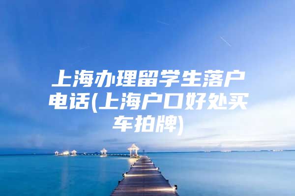 上海辦理留學生落戶電話(上海戶口好處買車拍牌)