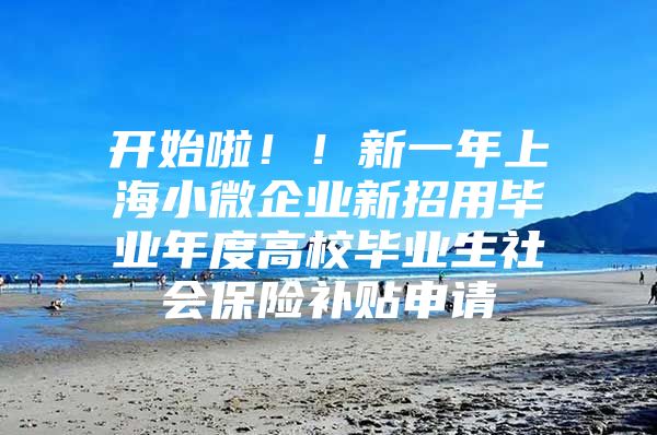 開始啦??！新一年上海小微企業(yè)新招用畢業(yè)年度高校畢業(yè)生社會保險補貼申請