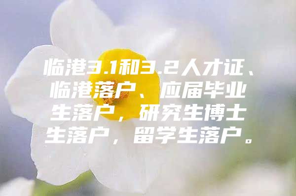 臨港3.1和3.2人才證、臨港落戶、應(yīng)屆畢業(yè)生落戶，研究生博士生落戶，留學(xué)生落戶。