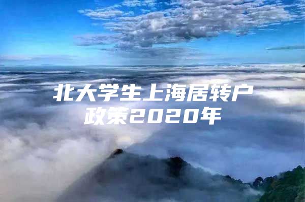 北大學(xué)生上海居轉(zhuǎn)戶政策2020年