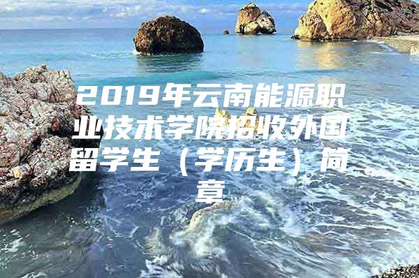 2019年云南能源職業(yè)技術(shù)學(xué)院招收外國(guó)留學(xué)生（學(xué)歷生）簡(jiǎn)章