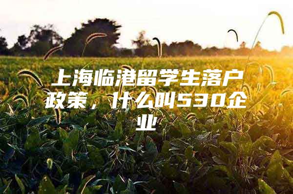 上海臨港留學(xué)生落戶政策，什么叫530企業(yè)