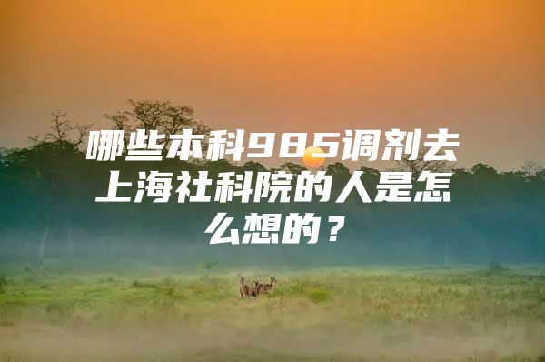 哪些本科985調(diào)劑去上海社科院的人是怎么想的？