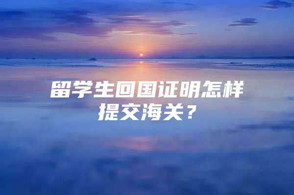 留學(xué)生回國證明怎樣提交海關(guān)？