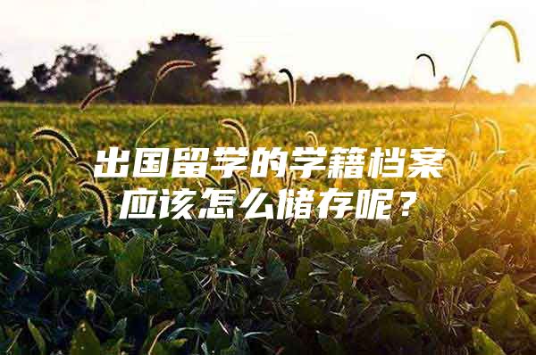 出國留學的學籍檔案應(yīng)該怎么儲存呢？