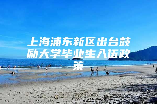 上海浦東新區(qū)出臺(tái)鼓勵(lì)大學(xué)畢業(yè)生入伍政策