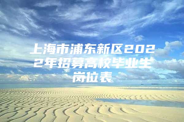 上海市浦東新區(qū)2022年招募高校畢業(yè)生崗位表