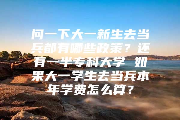 問一下大一新生去當(dāng)兵都有哪些政策？還有一半?？拼髮W(xué) 如果大一學(xué)生去當(dāng)兵本年學(xué)費怎么算？