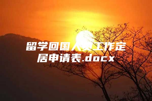 留學(xué)回國人員工作定居申請表.docx