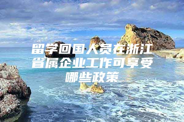 留學回國人員在浙江省屬企業(yè)工作可享受哪些政策