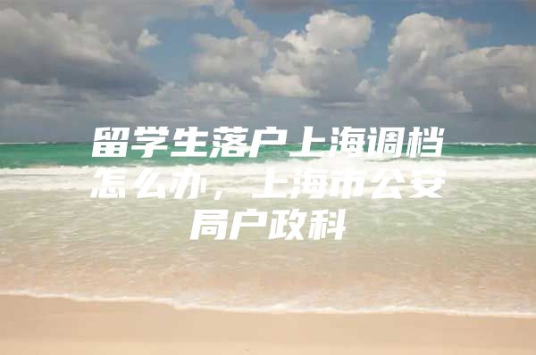 留學(xué)生落戶上海調(diào)檔怎么辦，上海市公安局戶政科