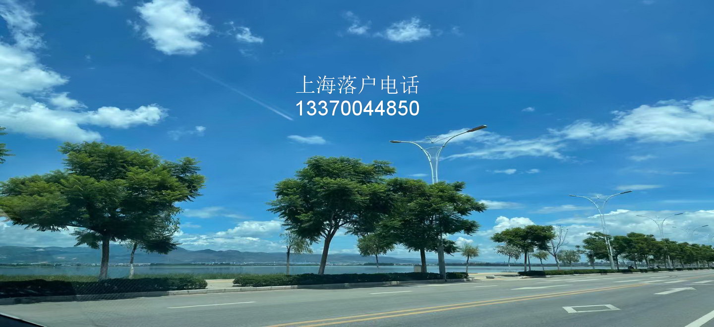 2022年上海居轉(zhuǎn)戶主要就是這四種類(lèi)型