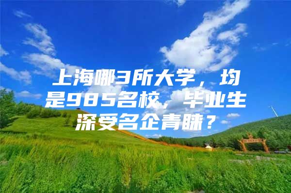 上海哪3所大學(xué)，均是985名校，畢業(yè)生深受名企青睞？